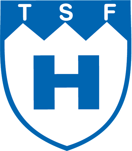 TSF Heuchelheim I